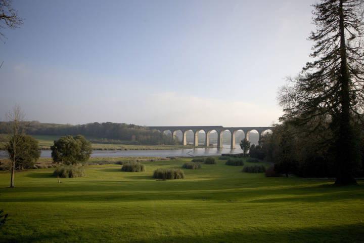 Pampas Grass Lawn, Port Eliot,Venues in Cornwall and Isles of Scilly