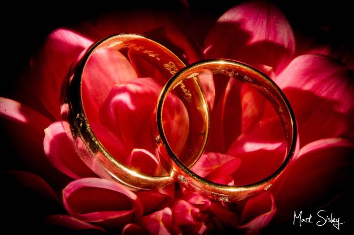 Buckinghamshire wedding rings on flower petals