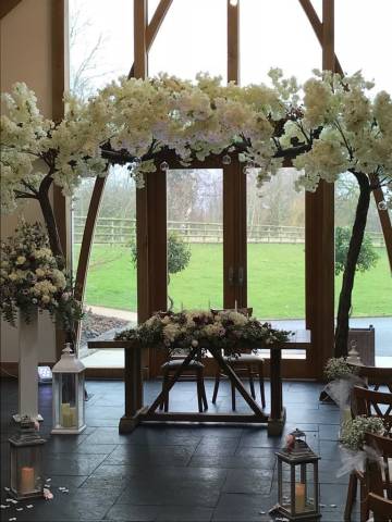 Our 10ft Kissing Blossom trees