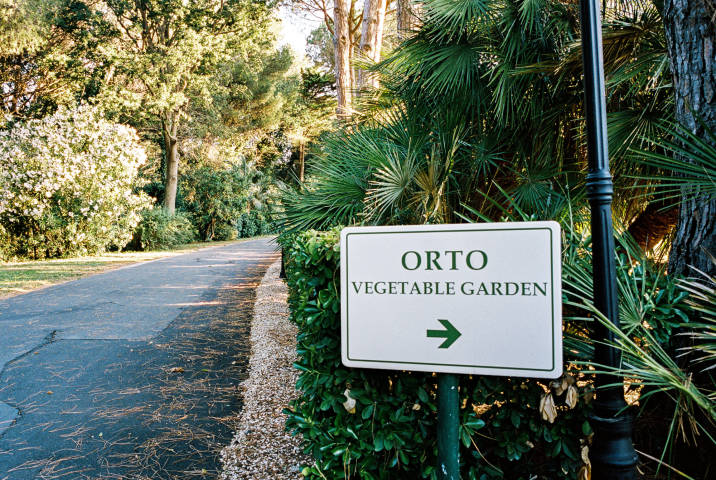 La Posta Vecchia Venues in Overseas