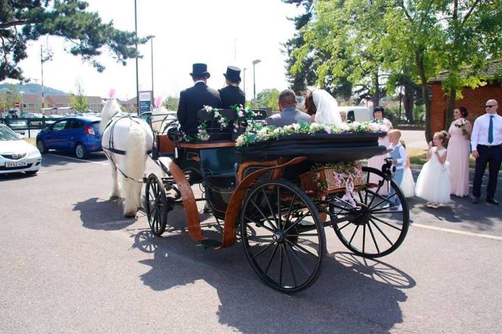 Catherine's Carriage's, Cars and Horse Drawn Carriages in Gloucestershire