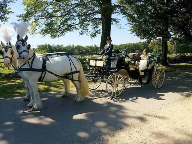 Catherine's Carriage's, Cars & Horse Drawn Carriages in Gloucestershire