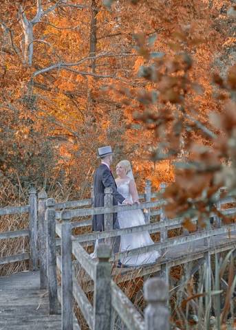 HN Photography.UK Photographers in Essex