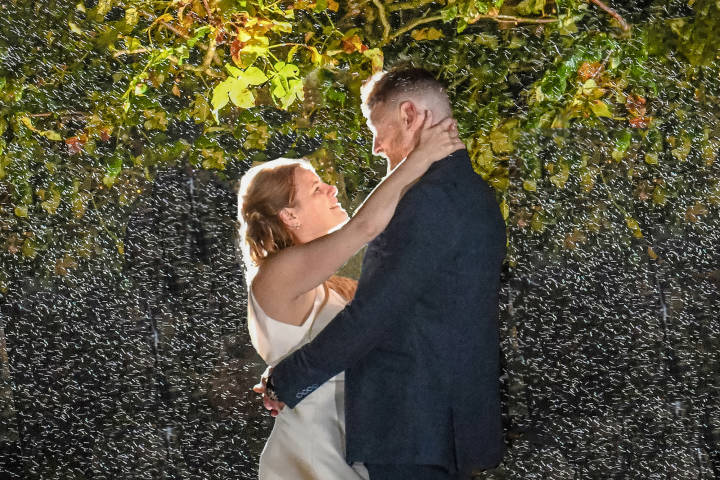 The Wedding Photo Company Photographers in Hampshire