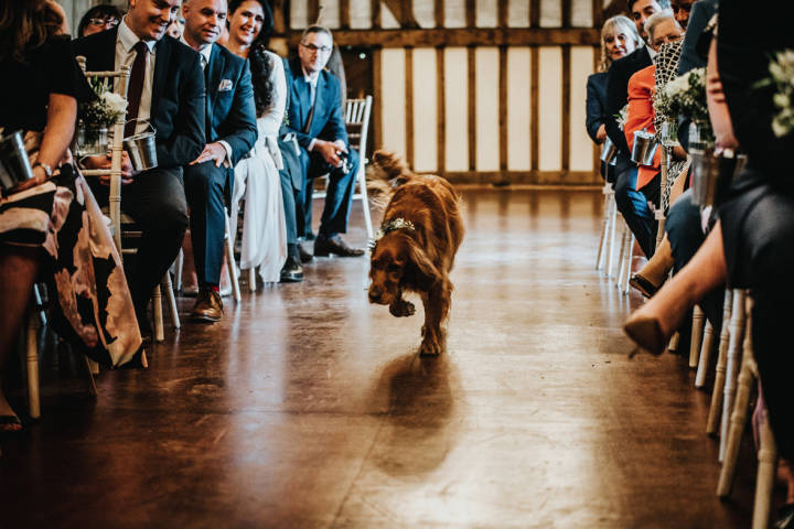 Colville Hall,Venues in Essex