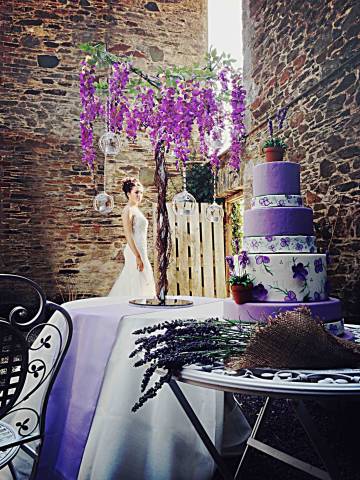 Anran , Venues in Devon