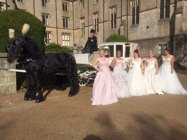 Bramble Farm Carriage Hire & wedding venue,Cars & Horse Drawn Carriages in Wiltshire