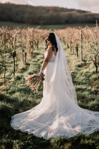 Denbies Wine Estate Venues in Surrey