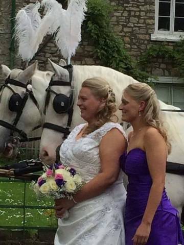 Catherine's Carriage's, Cars & Horse Drawn Carriages in Gloucestershire