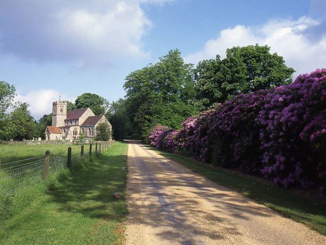 Driveway, Hampden House