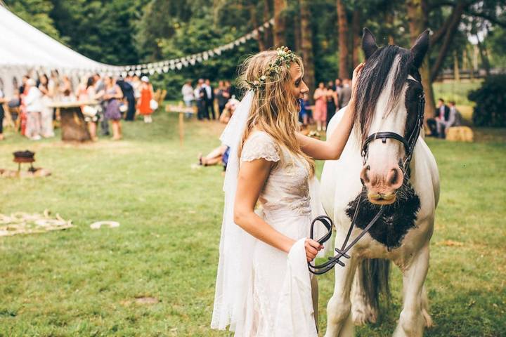 Happy Valley Norfolk Venues in Norfolk