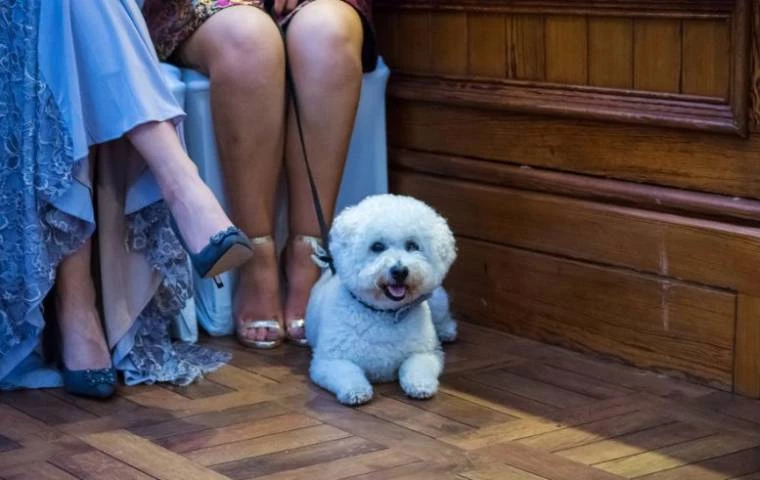 Broadoaks Boutique Country House Venues in Cumbria