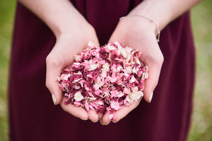 Shropshire Petals Biodegradable Confetti made from real flowers