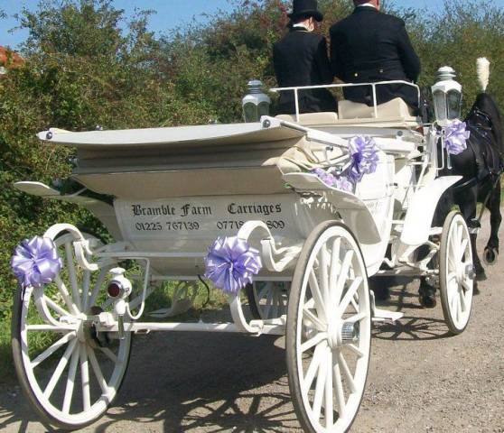 Bramble Farm Carriage Hire, Cars and Horse Drawn Carriages in Wiltshire
