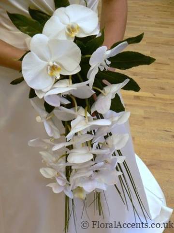 Contemporary orchid shower bouquet - by Floral Accents.