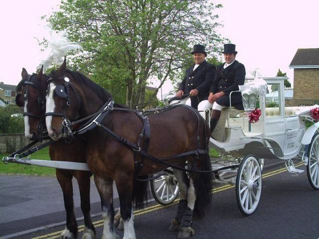 Bramble Farm Carriage Hire, Cars and Horse Drawn Carriages in Wiltshire