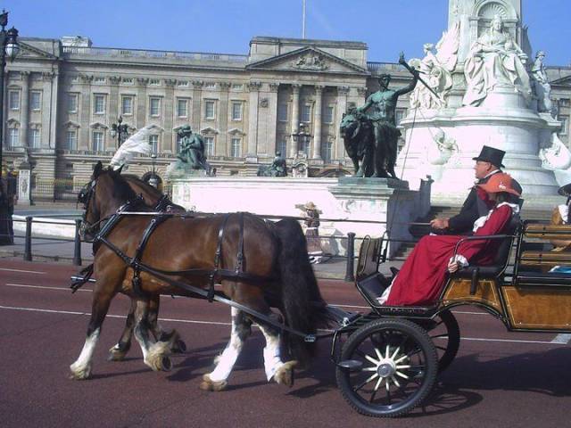 Bramble Farm Carriage Hire, Cars and Horse Drawn Carriages in Wiltshire
