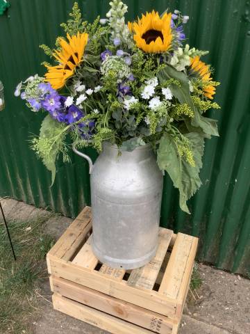 Vamos Paella wedding catering