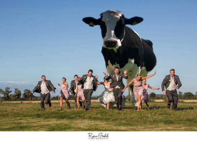 Ryan Goold Photography, Photographers in Bristol and Somerset