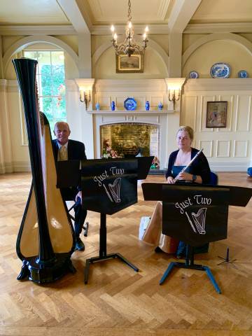 Just Two Flute and Harp Duo Music in Kent