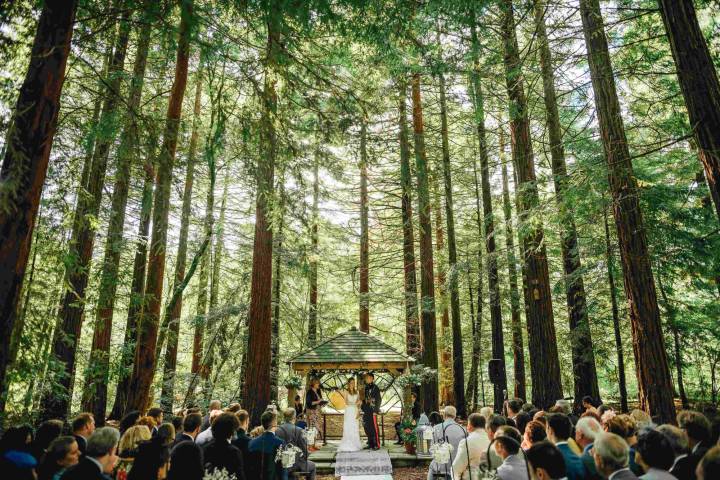 Two Woods Estate Venues in Sussex - West