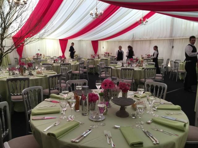 Fuchsia Roof and Wall Overlays