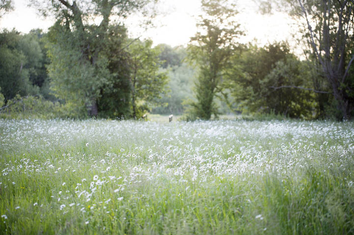 Old Swan & Minster Mill Wedidng Venue Oxfordshire