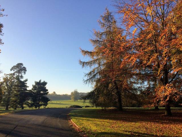 Haughley Park Barn,Venues in Suffolk