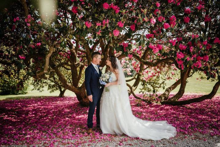 Nick Walker Photography Photographers in Cornwall and Isles of Scilly