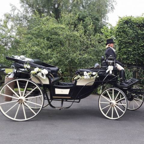Catherine's Carriages,Cars & Horse Drawn Carriages in Gloucestershire