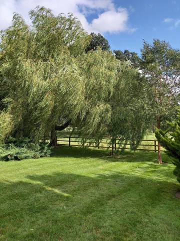 Weddings at Orchard Field Venues in Northamptonshire
