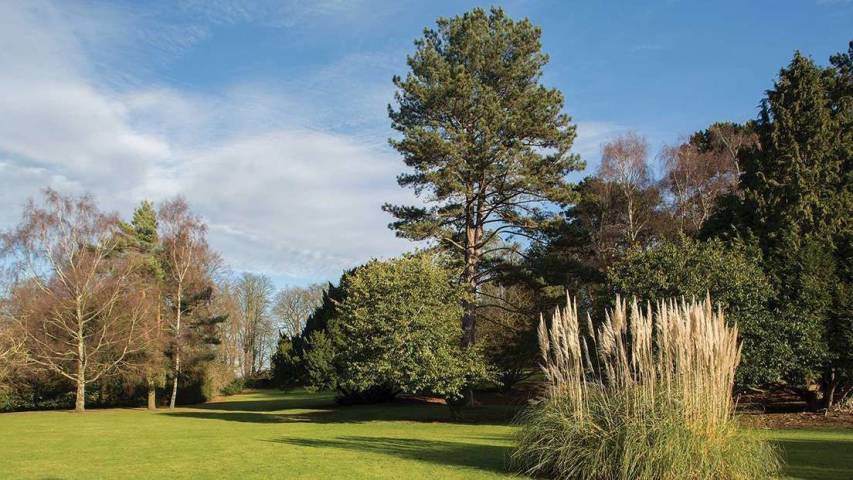Brandshatch Place Hotel & Spa,Venues in Kent