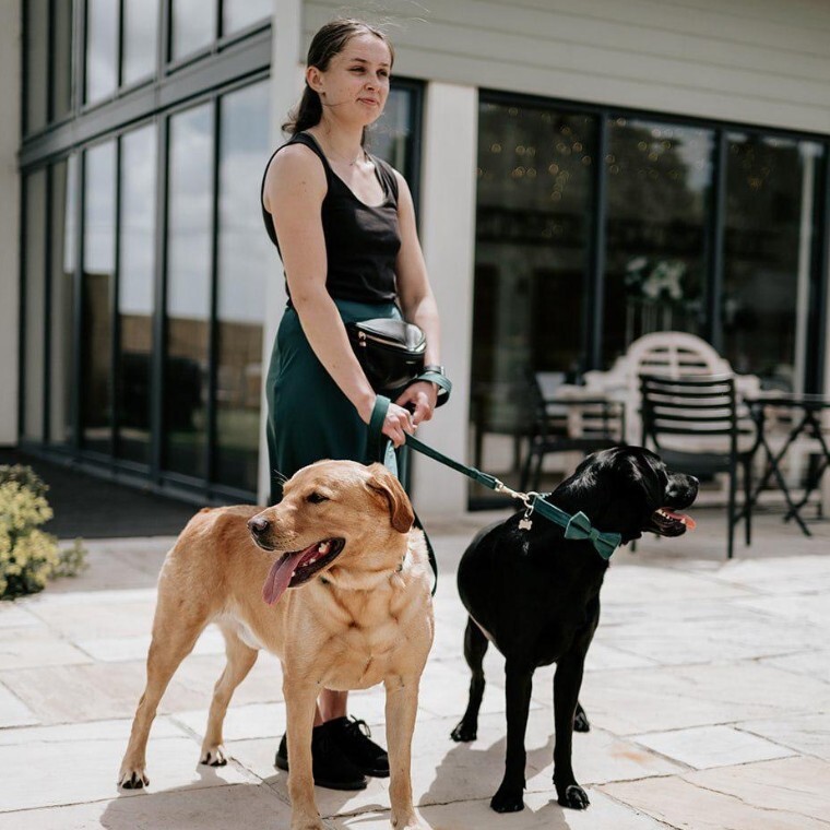 Wedding Dog Chaperone South West Exeter Plymouth Devon Cornwall Somerset