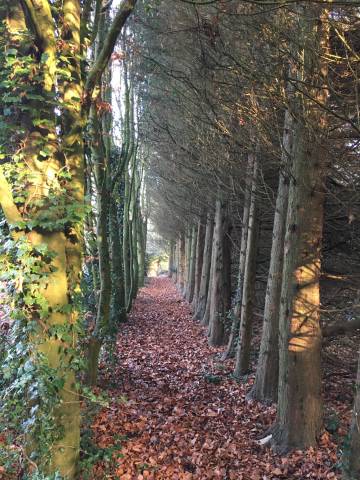 Chiseldon House Hotel Venues in Wiltshire