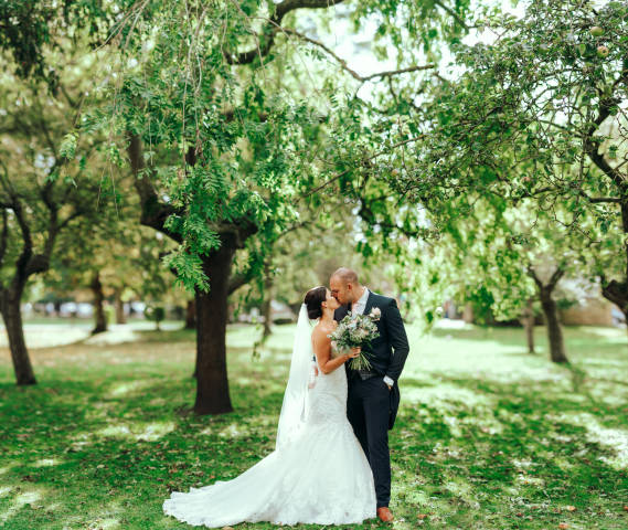 Shots in the Apple Orchard