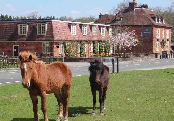 Bell Inn Hotel, Venues in Hampshire