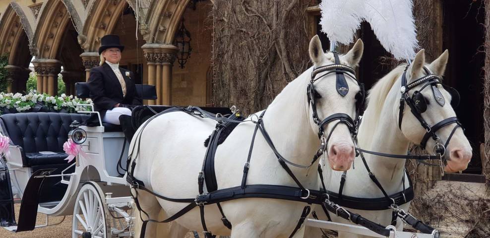 Catherine's Carriages,Cars & Horse Drawn Carriages in Gloucestershire