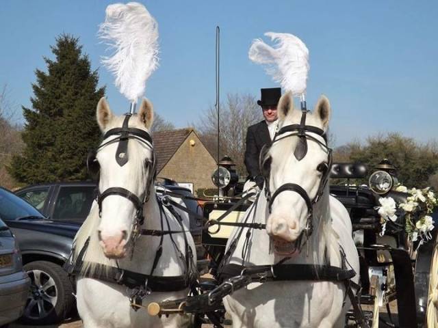 Catherine's Carriage's, Cars and Horse Drawn Carriages in Gloucestershire