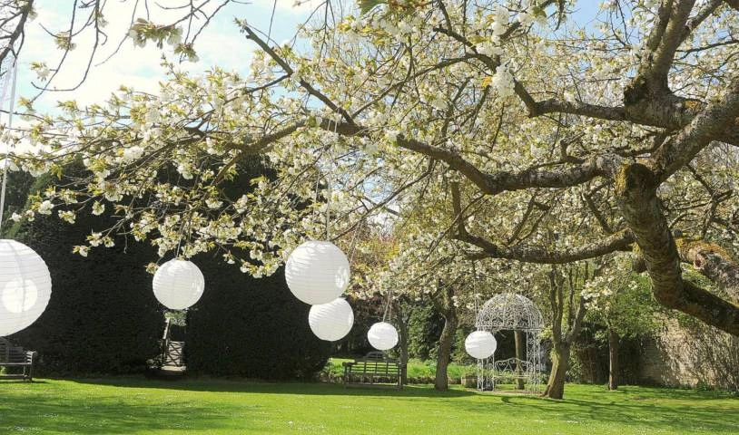 Silver Pear Weddings Ltd, Venues in Oxfordshire