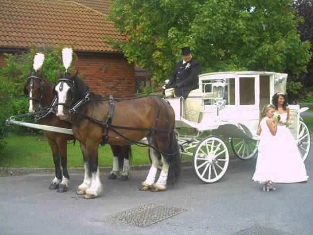 Bramble Farm Carriage Hire, Cars and Horse Drawn Carriages in Wiltshire