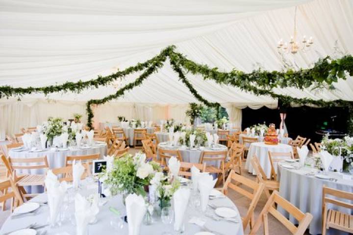 Ivory Lining and Beech Folding Chiars