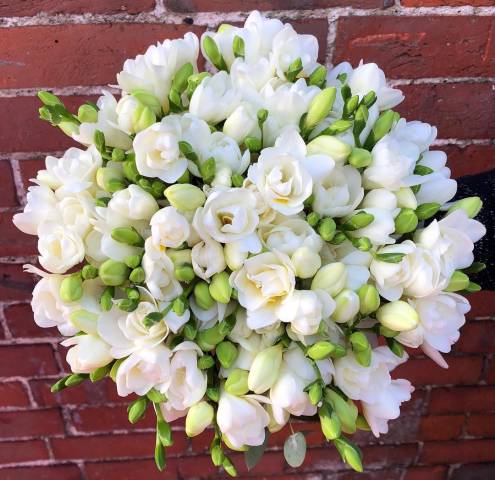 The Daisy Chain Florists in Buckinghamshire