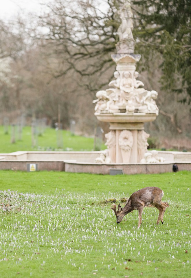 Berwick Lodge gardens