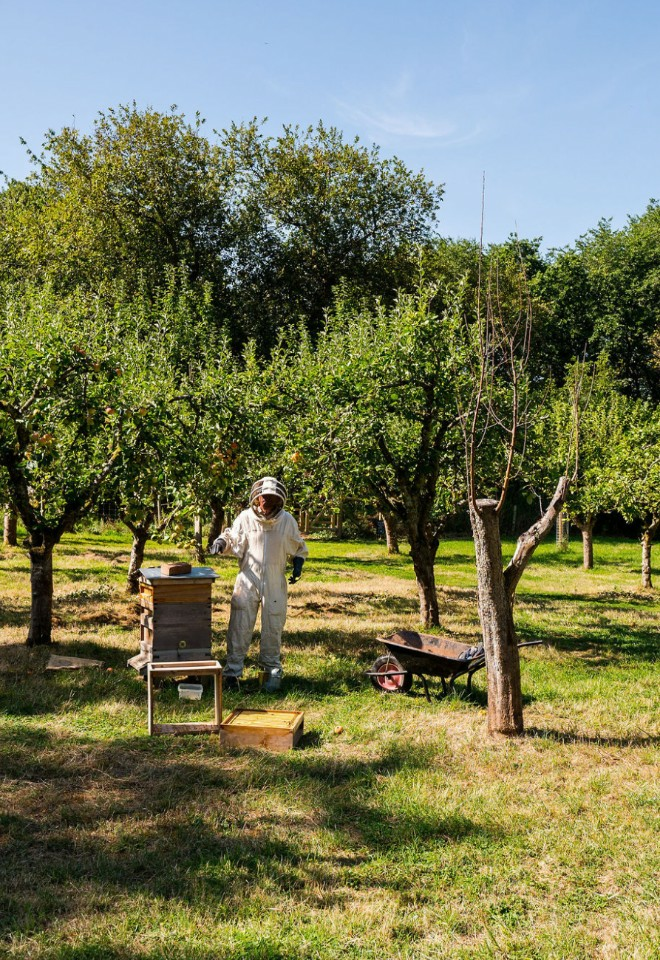 Berwick Lodge gardens