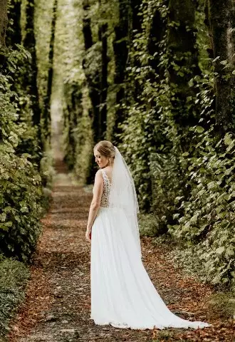 The Majestic Lime Avenue in the Pentillie Grounds